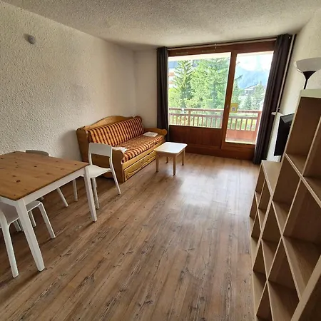 Fonctionnel Au Pied Des Pistes, Centre Station, Animaux Admis - Fr-1-811-42